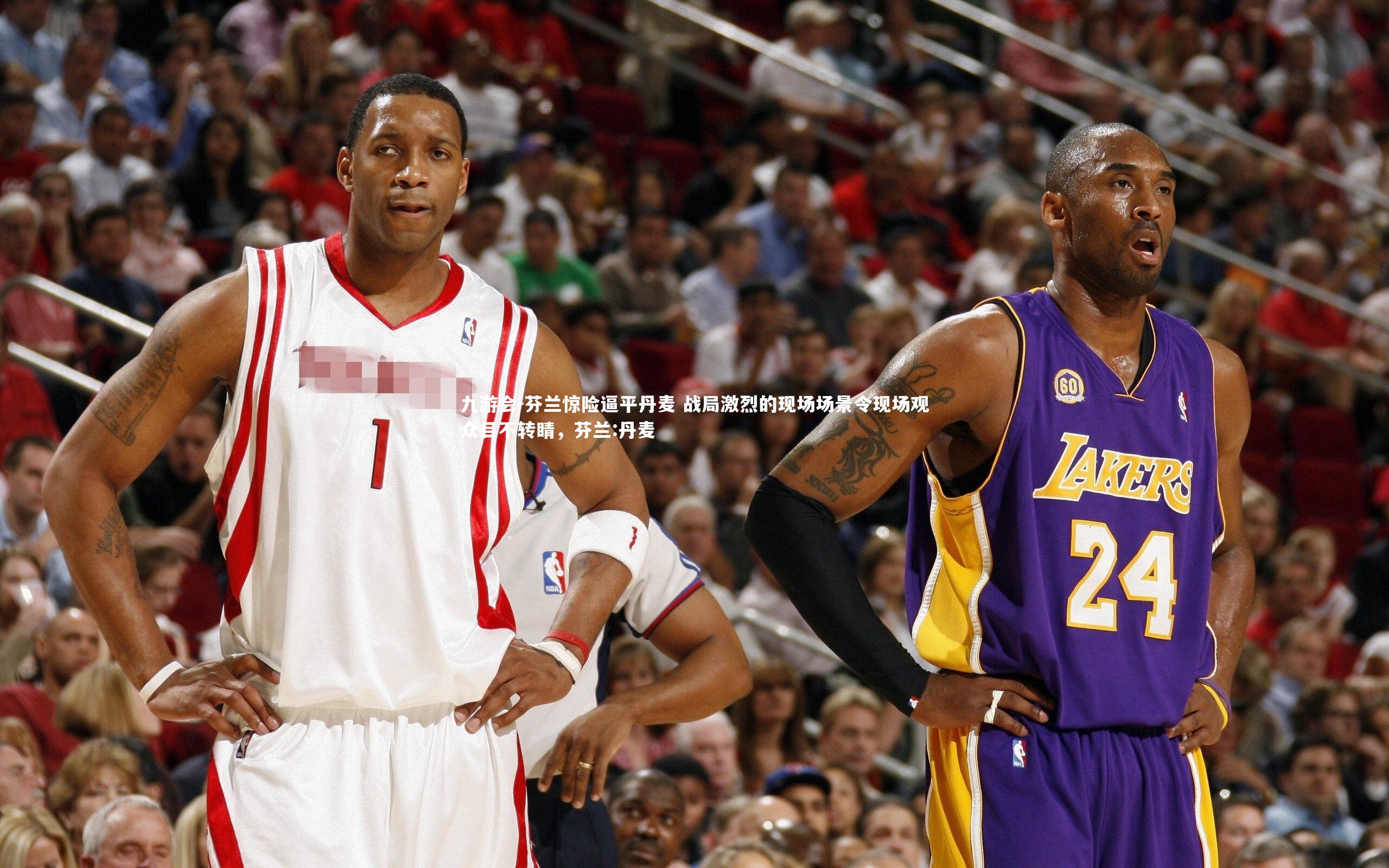 芬兰惊险逼平丹麦 战局激烈的现场场景令现场观众目不转睛，芬兰:丹麦