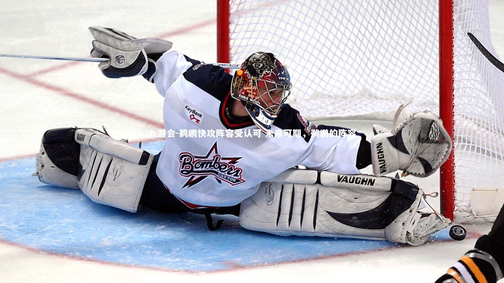 鹈鹕快攻阵容受认可 未来可期,鹈鹕的阵容